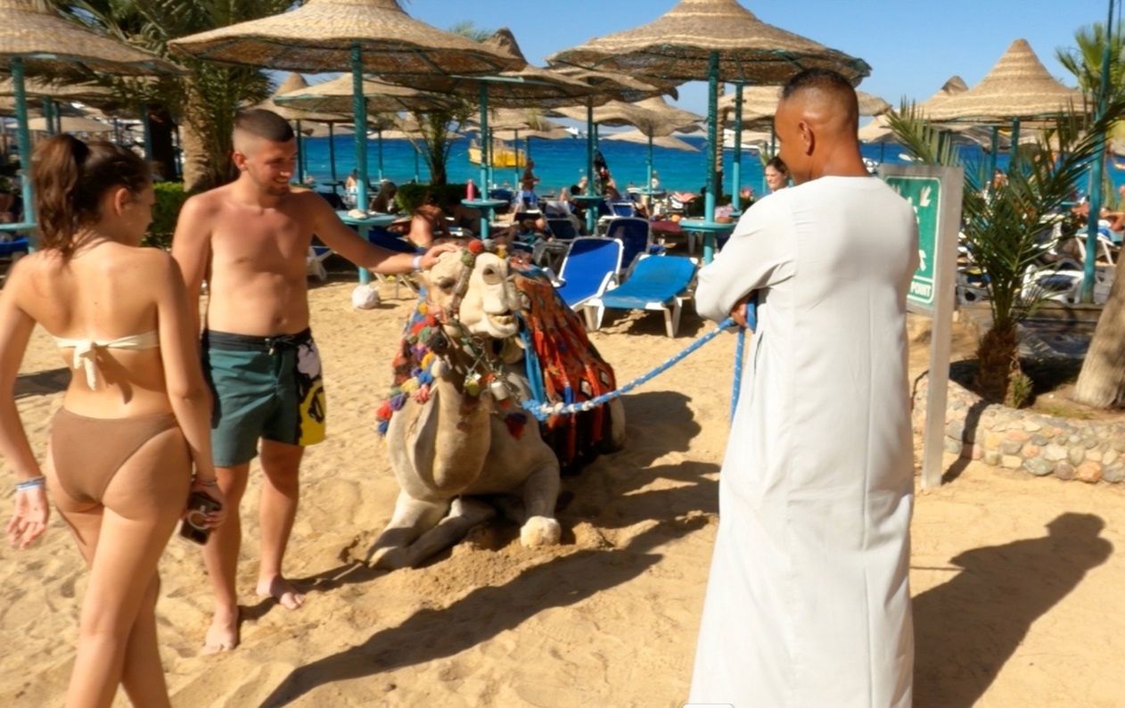 Egipskie plaże są uwielbiane przez Polaków