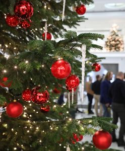 Politycy składają świąteczne życzenia na platformie X