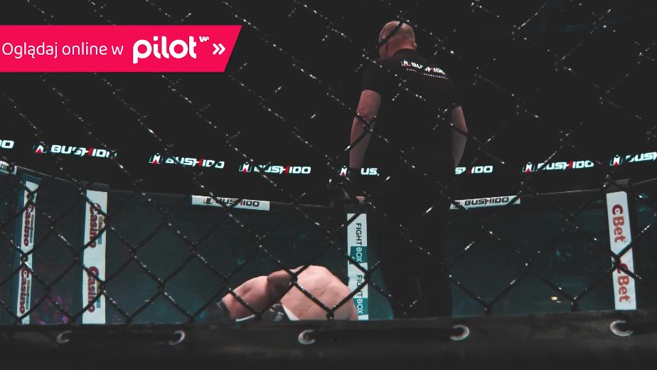 MMA Bushido na żywo w Pilot WP
