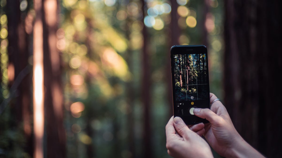 Dzięki Halide zdjęcia z waszego iPhone'a będą o niebo lepsze 1