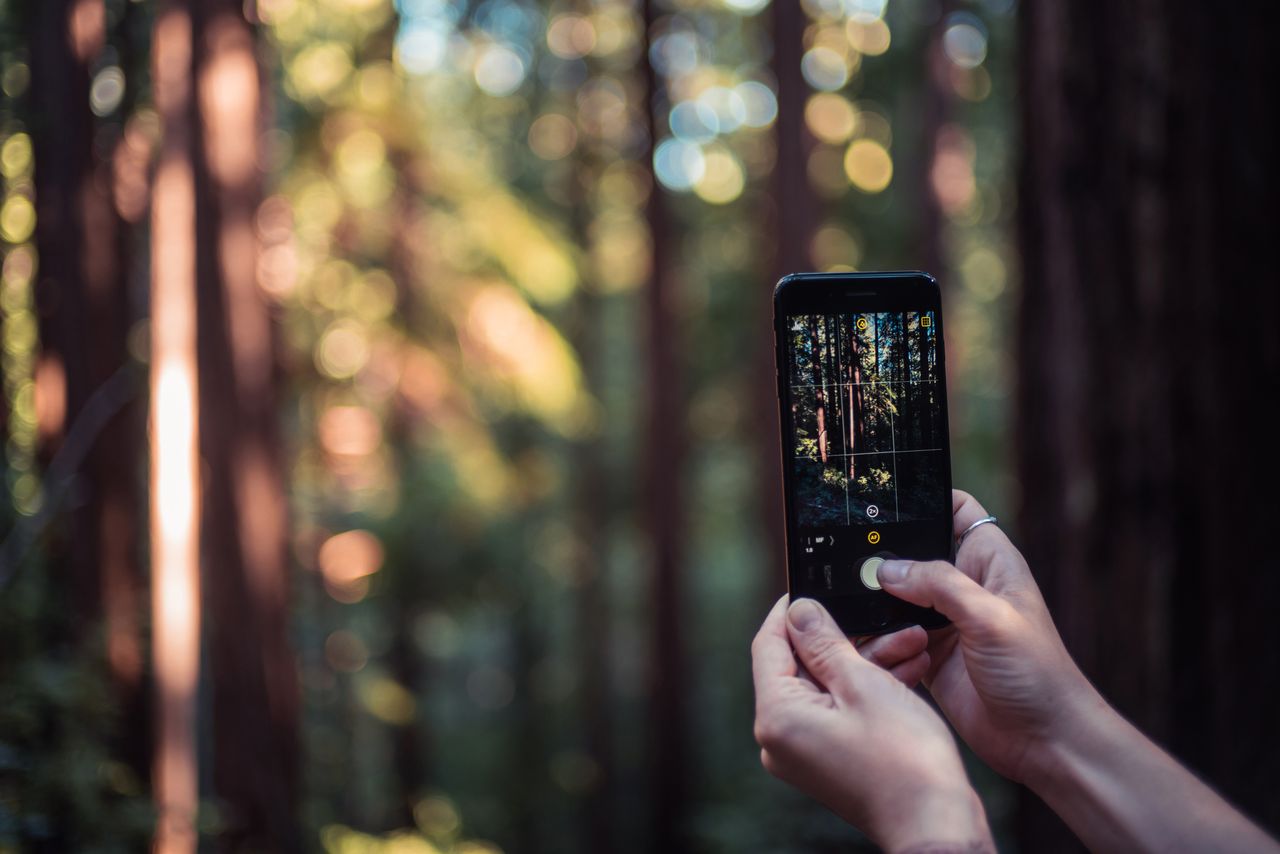 Dzięki Halide zdjęcia z waszego iPhone'a będą o niebo lepsze