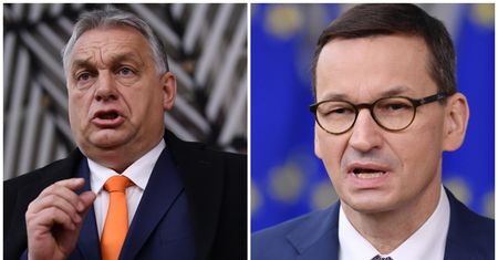 "Z tygrysów zostały futerka". Niemiecka prasa o Polsce i Węgrzech