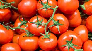 Likopen ma związek z niższym ryzykiem choroby dziąseł