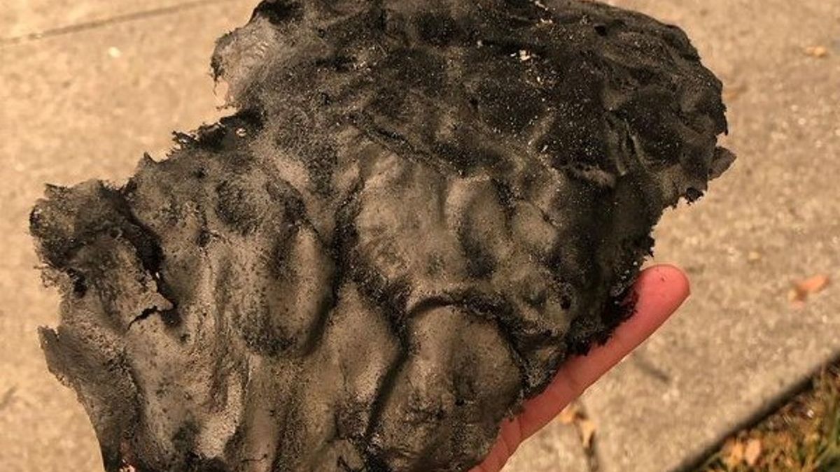 Mieszkanka Santa Rosa, Morgan Balaei znalazła kawałek popiołu wielkości ręki.