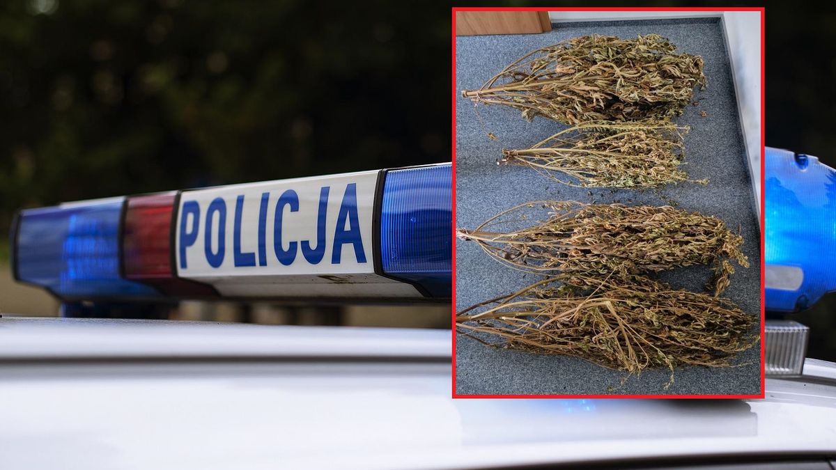 Policja chwali się akcją.