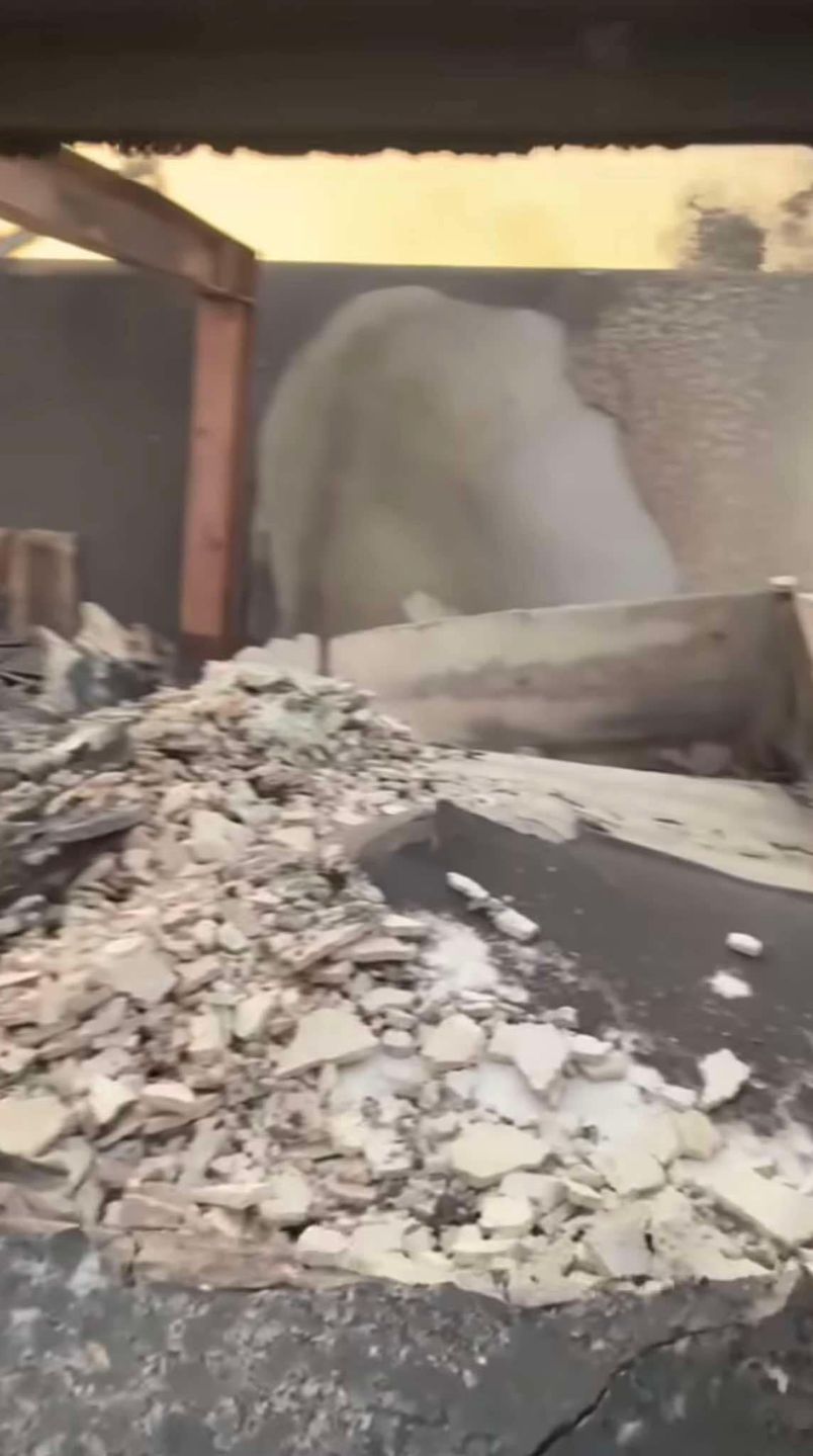 Paris Hilton pokazała zniszczony dom