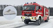 Interwencja służb w Rokiciu. Zgłoszenie o przymarzniętym łabędziu przy drodze wojewódzkiej nr 562