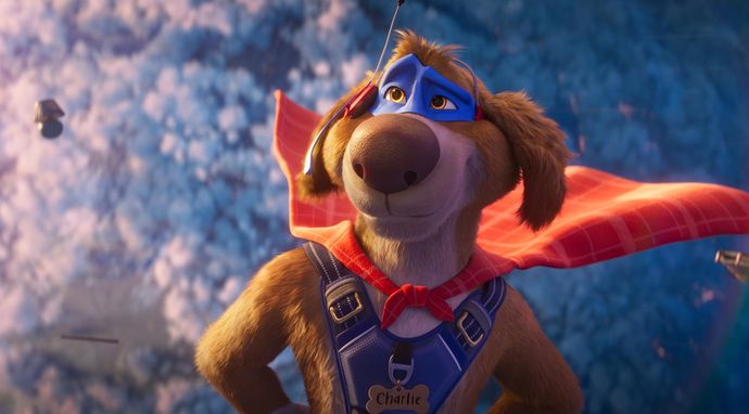 Super pies i kot łotr