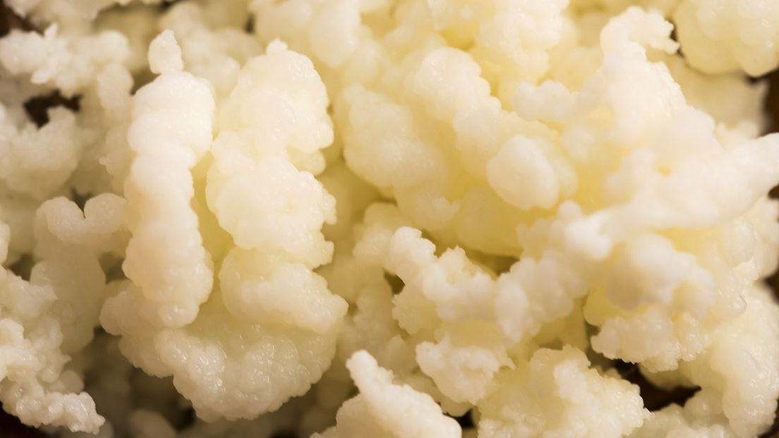 Serwatka to jeden ze składników oczyszczającej diety