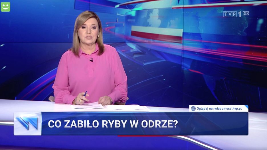 "Co zabiło ryby w Odrze"? Według "Wiadomości" być może ścieki albo sama natura