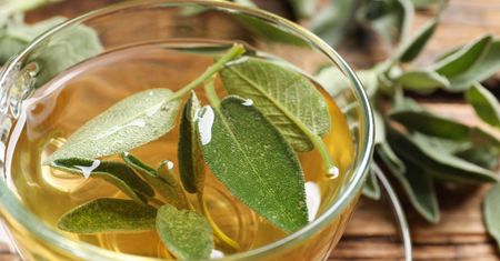 Naturalny antybiotyk z babcinego parapetu. Przygotuj napar lub ziołowe masło