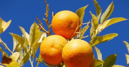 Orange: 20% więcej kasy za doładowanie, 2x więcej minut za przedłużenie umowy