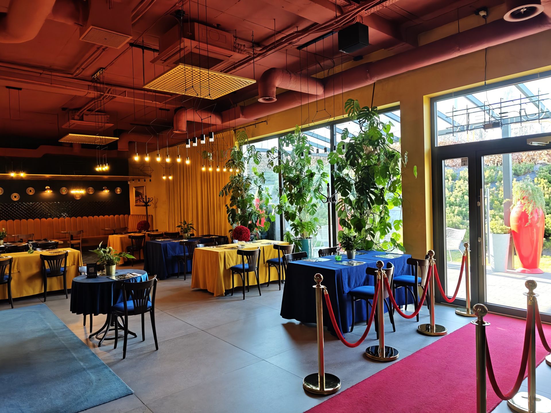 Czerwony dywan pozwala poczuć się jak na premierze filmowej