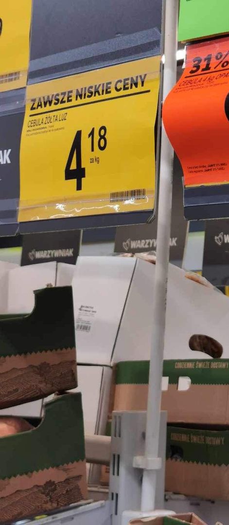 Cana za kilogram cebuli w Toruniu