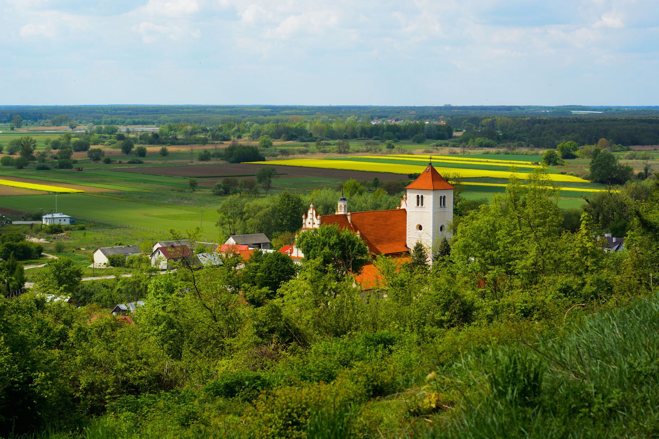 Janowiec