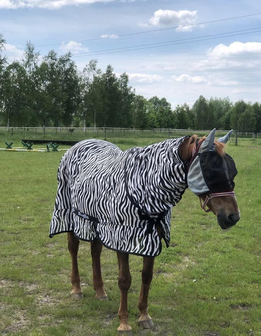 Nowy ogród Katarzyny Dowbor