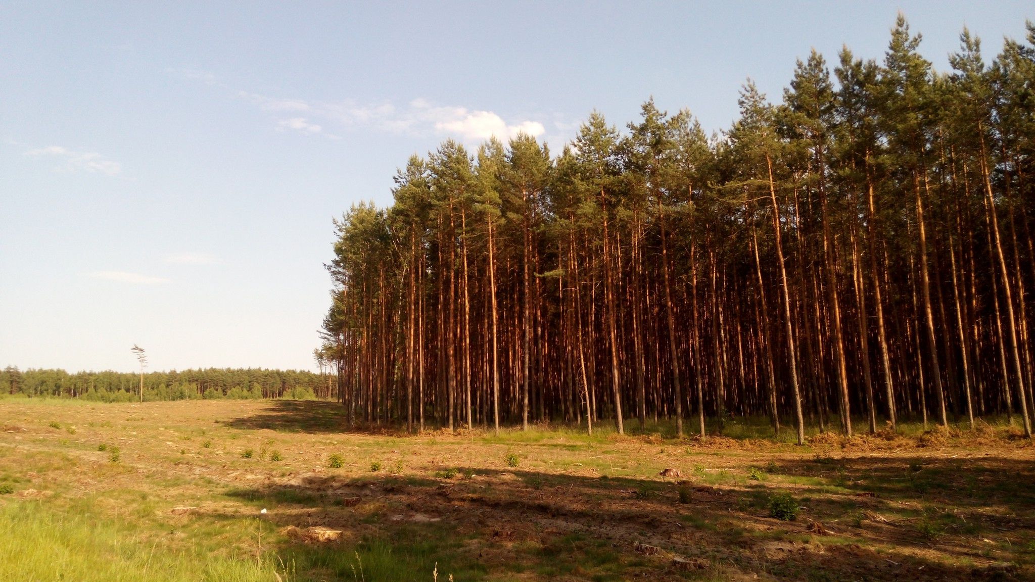 Test Alcatel One Touch Idol Alpha.  Za drogi na średniaka, za słaby na flagowca 29
