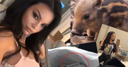 Tymczasem na Instagramie Justyny Gradek: dziki, futro i psychotropy...