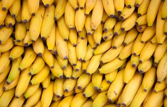 Eksport z Polski. Nasze firmy nie wykorzystują potencjału Ameryki Łacińskiej