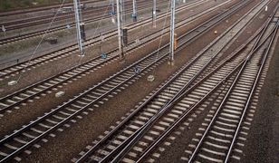 Pociągi pędziły wprost na siebie. Jak znalazły się na jednym torze?