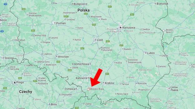 Jadowity pająk na Śląsku. Nosferatu nie tylko w kinach