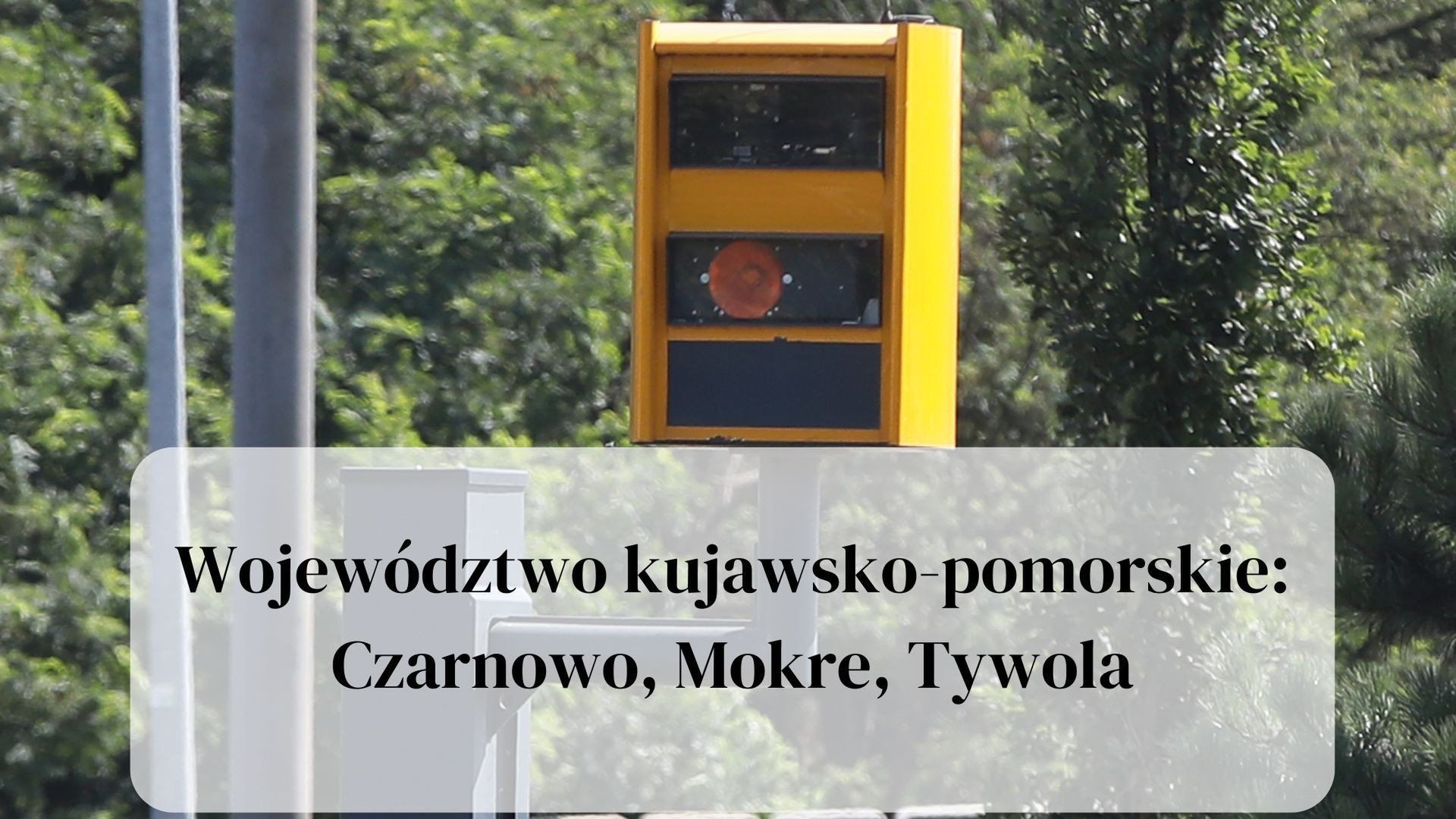 Wirtualna Polska