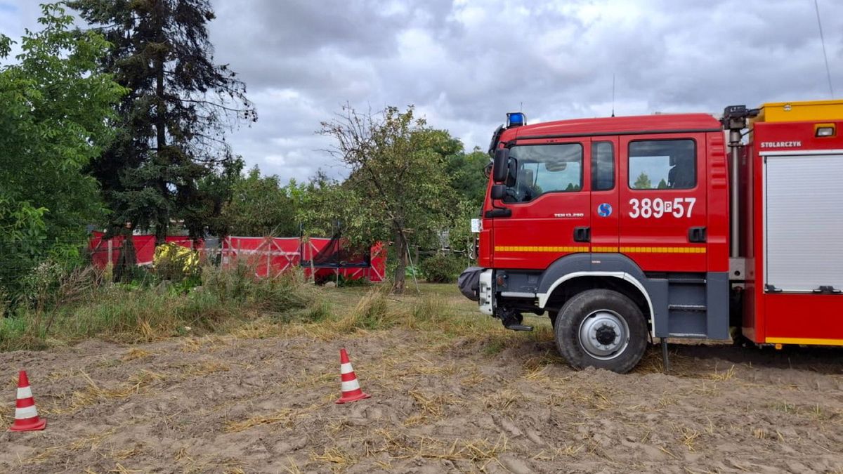 PAP / Katastrofa awionetki w Wielkopolsce 