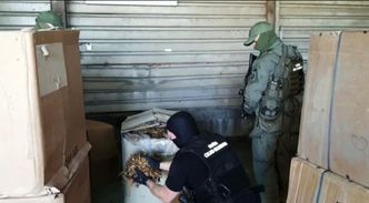 Skarbówka dostanie nowe uprawnienia. Ministerstwo szykuje projekt