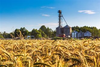 Finanse rolników od kuchni. W badaniu odpowiadają, czy rola się im opłaca?