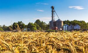 Finanse rolników od kuchni. W badaniu odpowiadają, czy rola się im opłaca?