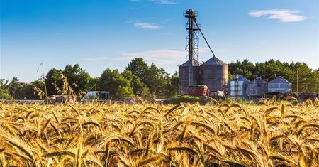 Finanse rolników od kuchni. W badaniu odpowiadają, czy rola się im opłaca?