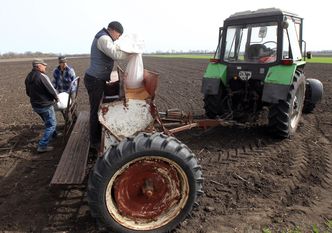 Prywatyzacja w Ukrainie. Rolnicy z Polski mogą wydzierżawić ziemię