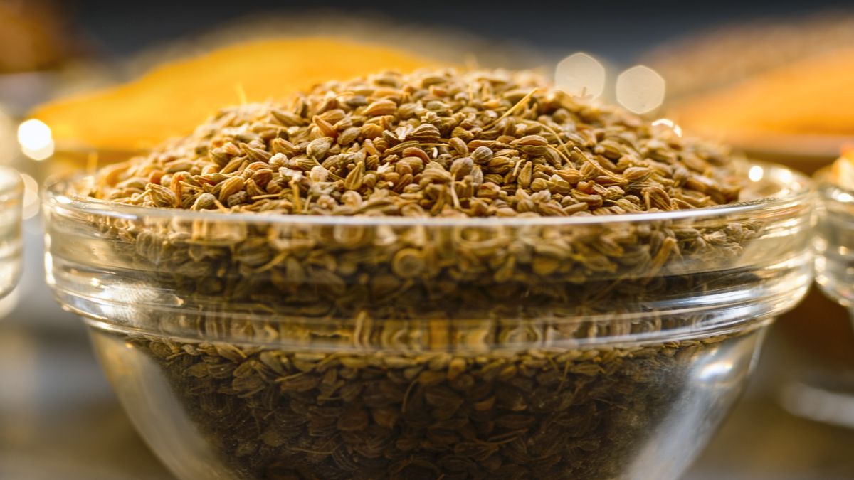 Caraway seeds in glass bowlClose-up of caraway seeds in glass bowl.simonkr