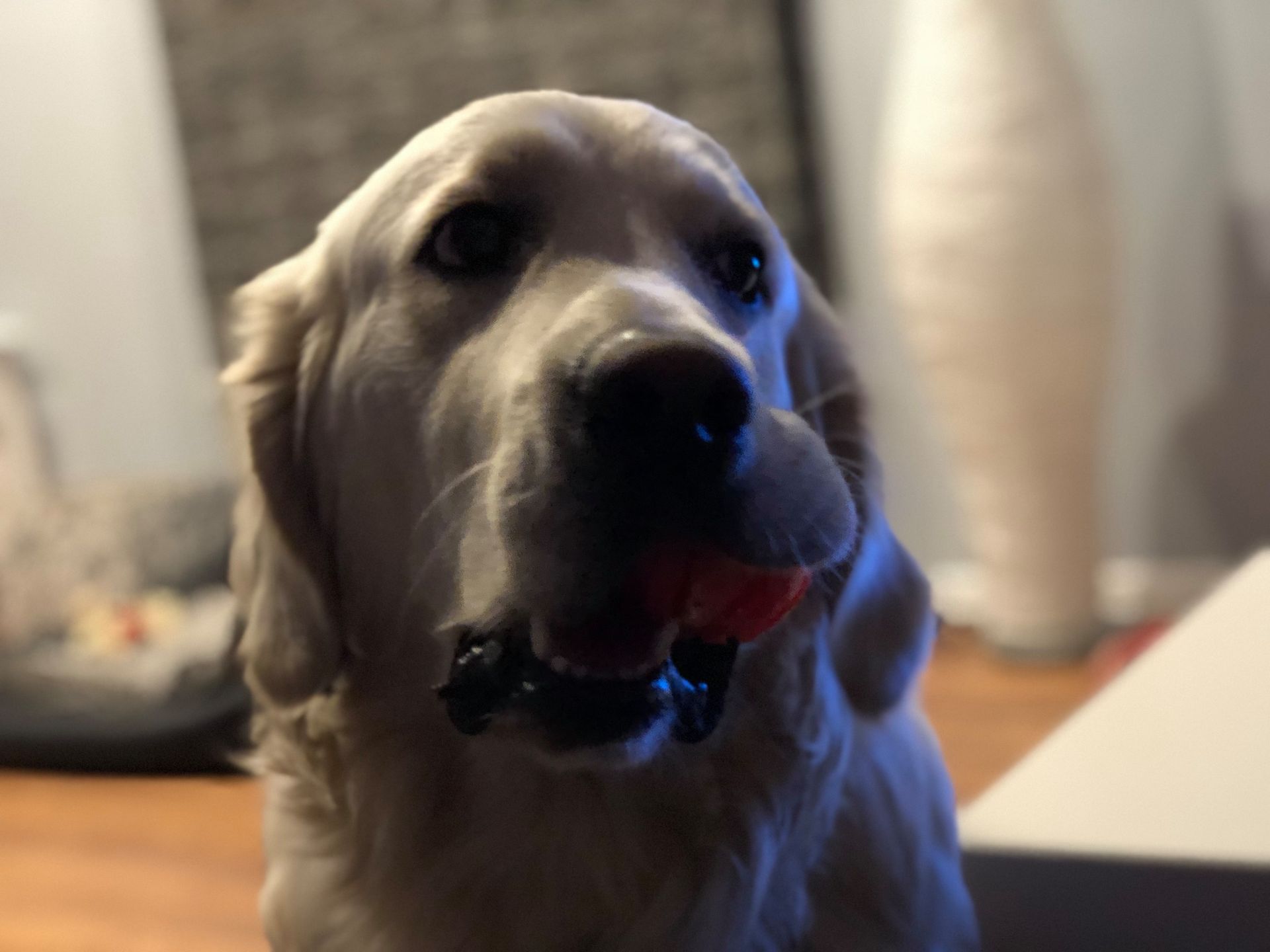 iPhone X to najlepszy iPhone, ale niekoniecznie najlepszy smartfon [TEST] 58
