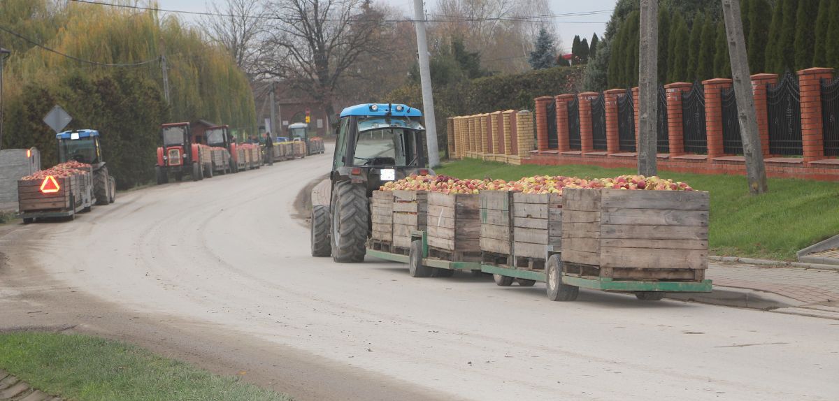 Rynek jabłek przemysłowych. Ceny surowca