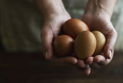 Ile kalorii ma jajko? Poznaj wartości odżywcze jajka