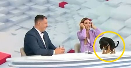 Wpadka na wizji. Program leciał na cały kraj