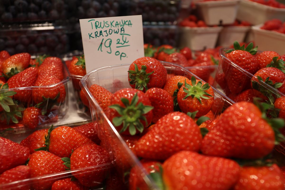 Wykupują polskie truskawki. "Zbyt duże zainteresowanie"