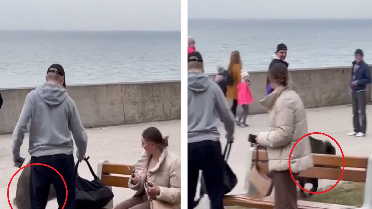 Nagranie Ukrainki. "Normalny dzień w Polsce"