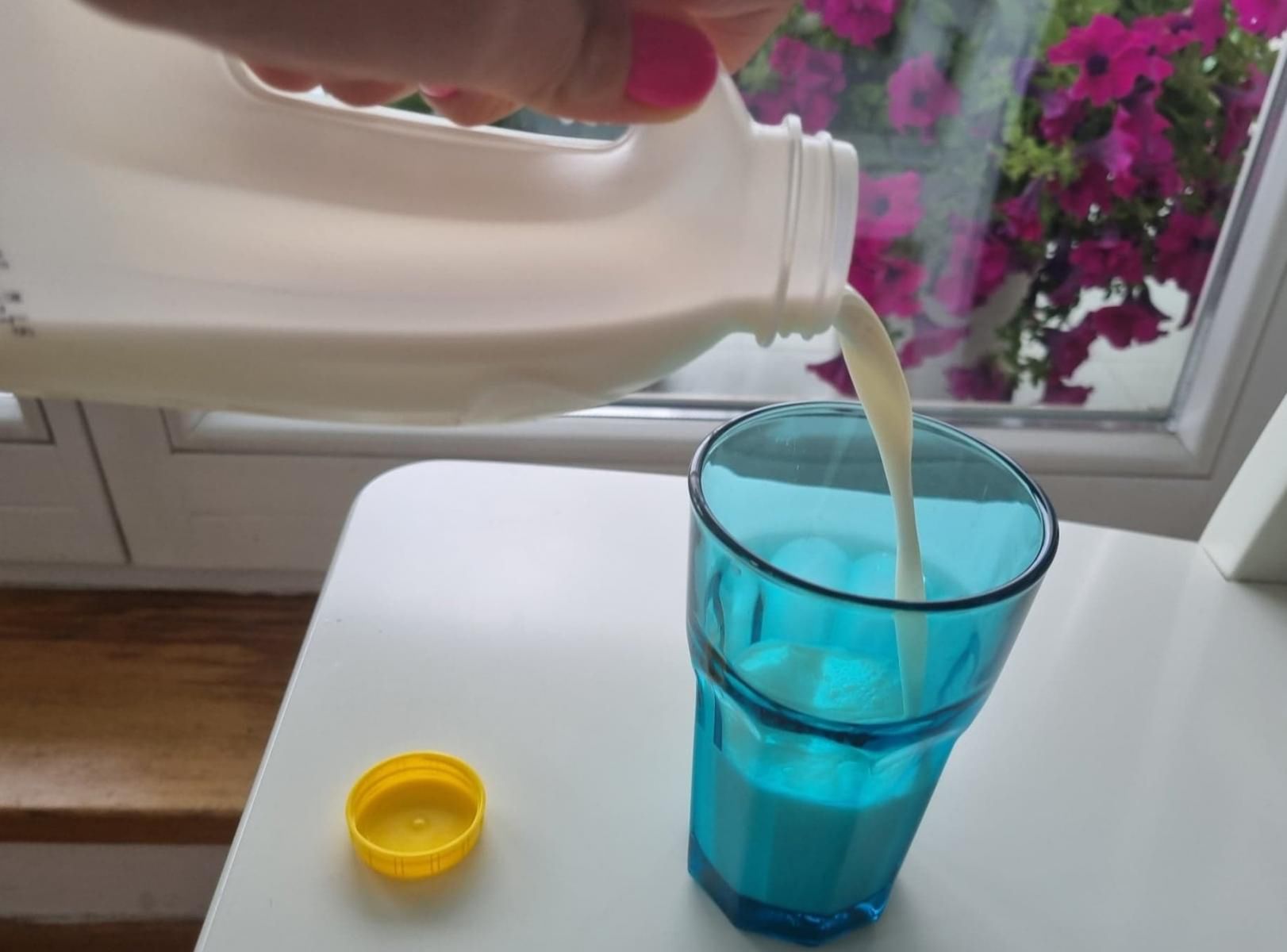 Laktozę zawierają przede wszystkim produkty mleczne, czyli: mleko krowie, kozie, owcze, jogurty, maślanki, kefiry, sery lody i śmietana