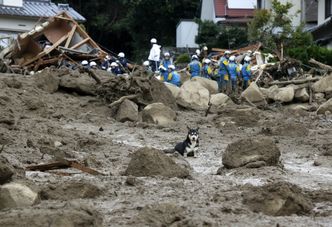 Osunięcia ziemi w Hiroszimie. Rośnie liczba ofiar