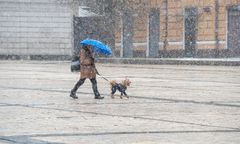 Nawet -18 st. C w Alpach. Ekstremalne mrozy w Europie