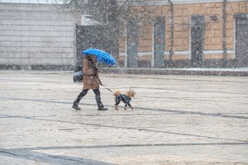 Nawet -18 st. C. Ekstremalne mrozy w Europie