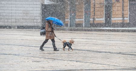 Nawet -18 st. C w Alpach. Ekstremalne mrozy w Europie