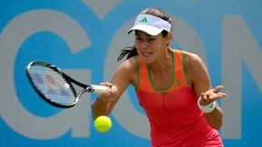 Ivanovic lepsza od Wozniacki / Hantuchova po trzech setach