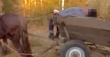 Zasnął z lejcami w dłoniach. Szok, ile pokazał alkomat