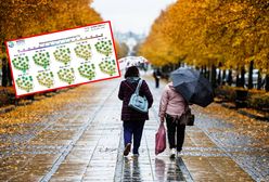 Co nas czeka w tym tygodniu w pogodzie? Na to wskazują prognozy