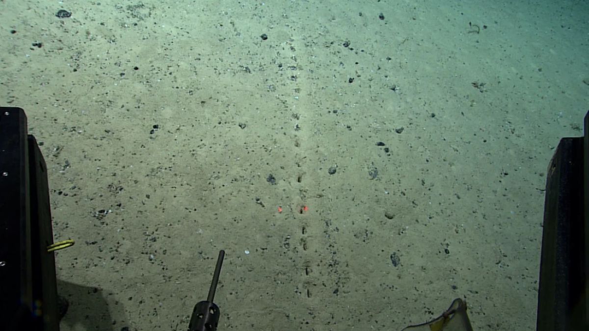 Skąd się wzięły na dnie oceanu te dziury? Są w idealnej linii prostej