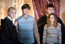 Gwiazdor Harry'ego Pottera oskarżony o hodowlę konopii indyjskiej