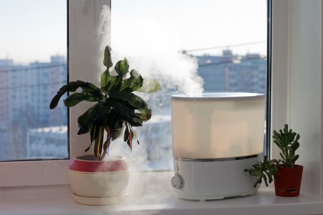 Jak nawilżyć powietrze w domu? Skuteczne sposoby